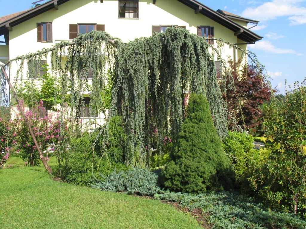 Albergo Residence Isotta Veruno 외부 사진